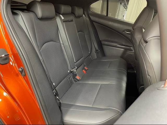 Lexus UX 2019-06 8867-9