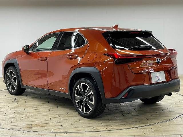 Lexus UX 2019-06 8867-16