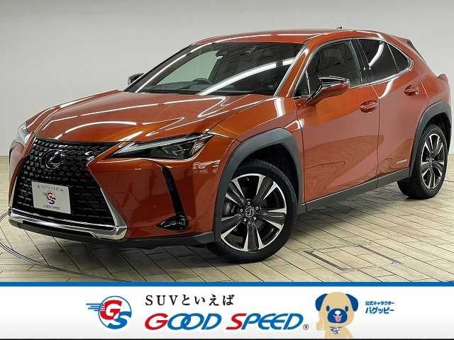 Lexus UX 2019-06 8867-0