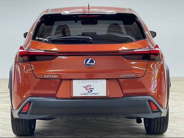 Lexus UX 2019-06 8867-12