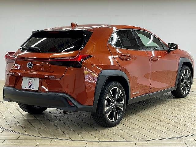 Lexus UX 2019-06 8867-15