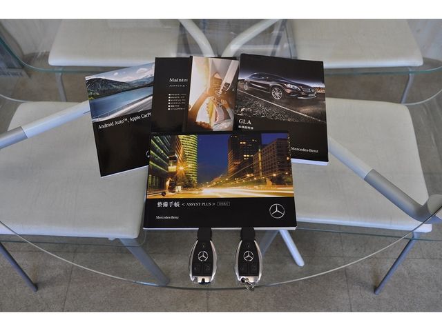 Amg A-Class 2017-05 491-8