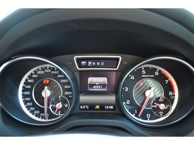 Amg A-Class 2017-05 491-15
