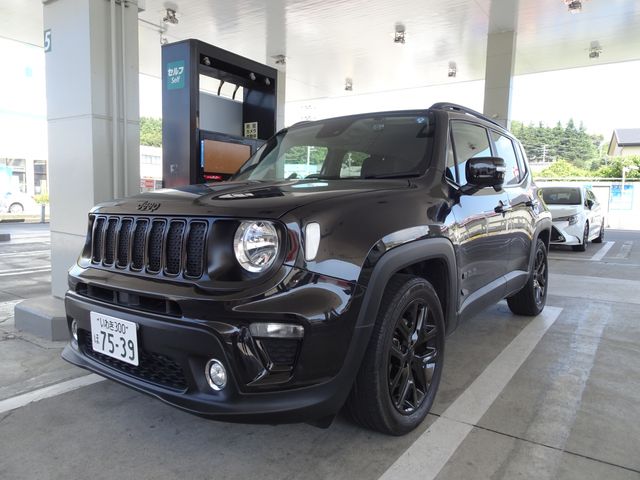 Jeep RENEGADE 2019-06 6442-0