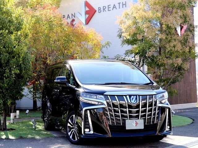Toyota ALPHARD 2018-12 183211-0