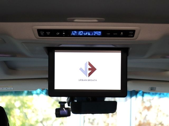 Toyota ALPHARD 2018-12 183211-13