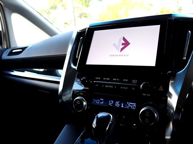 Toyota ALPHARD 2018-12 183211-16