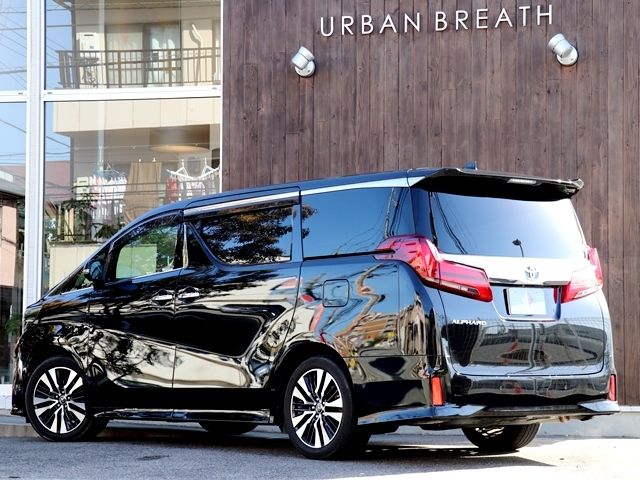 Toyota ALPHARD 2018-12 183211-2