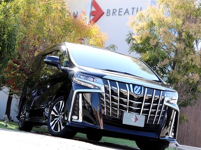 Toyota ALPHARD 2018-12 183211-3