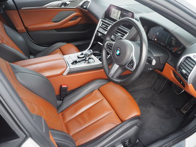 Bmw 8 SERIES 2019-11 227-12