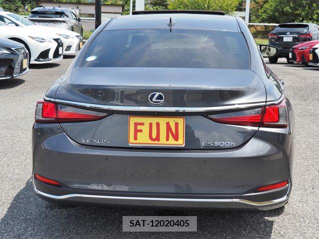 Lexus ES 2021-11 354113-6