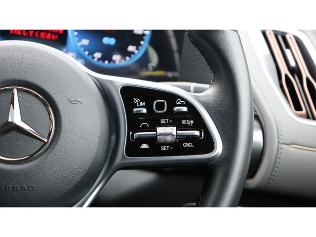 Mercedes Benz EQC 2022-01 184154-8