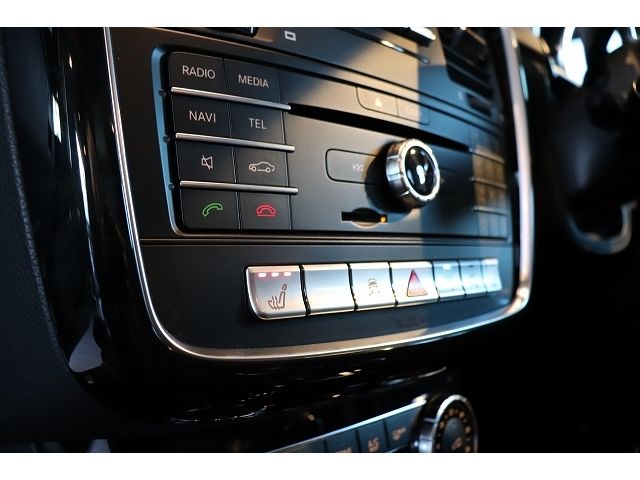 Mercedes Benz G-CLASS 2017-08 181435-14