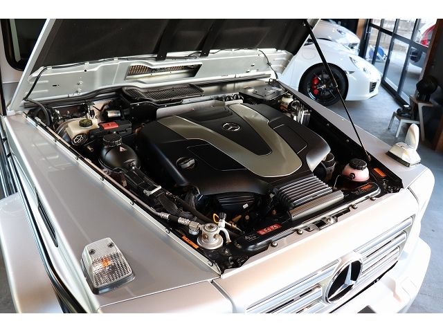 Mercedes Benz G-CLASS 2017-08 181435-9