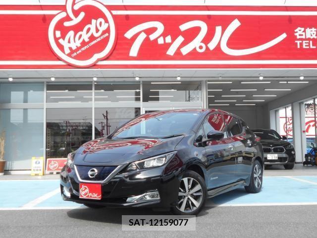 Nissan LEAF 2019-09 320970-0