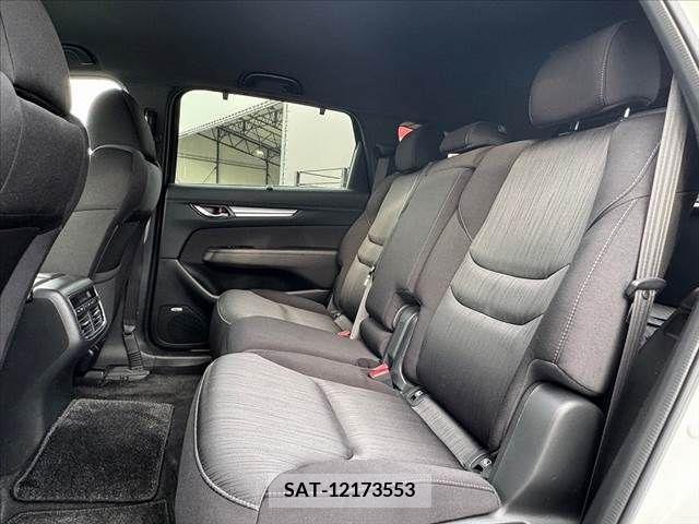 Mazda CX-8 2019-03 266264-17