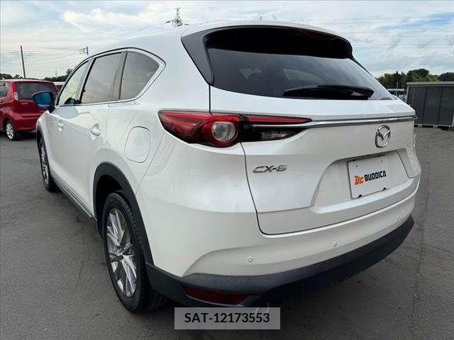 Mazda CX-8 2019-03 266264-14