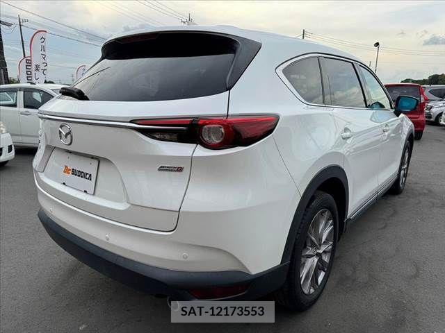 Mazda CX-8 2019-03 266264-12