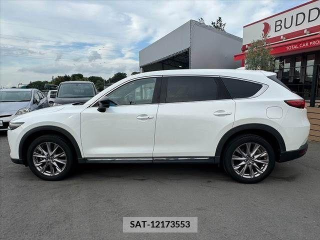Mazda CX-8 2019-03 266264-10