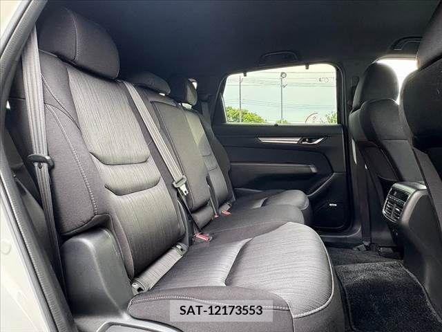 Mazda CX-8 2019-03 266264-19