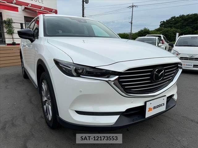 Mazda CX-8 2019-03 266264-7