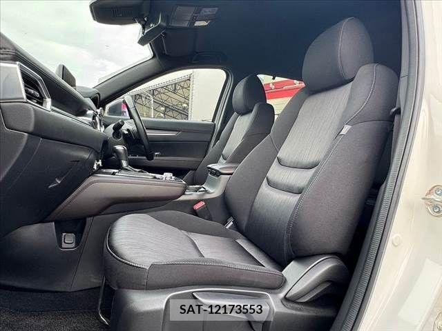 Mazda CX-8 2019-03 266264-16