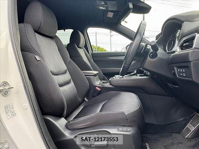 Mazda CX-8 2019-03 266264-15