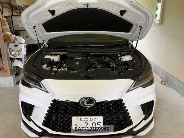 Lexus RX 2023-03 388360-3