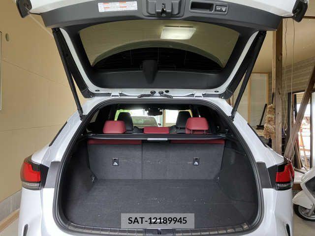 Lexus RX 2023-03 388360-6