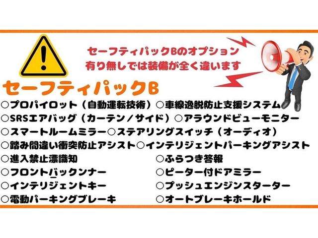Nissan SERENA 2016-11 191357-10