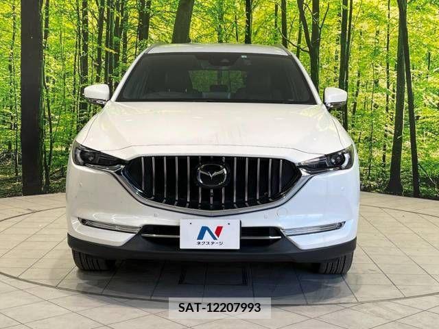 Mazda CX-8 2020-06 223245-15
