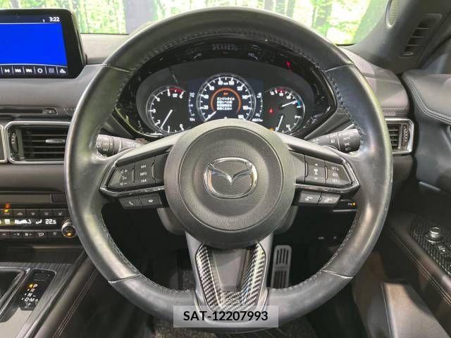Mazda CX-8 2020-06 223245-12