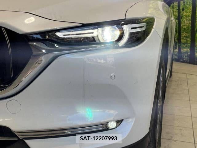 Mazda CX-8 2020-06 223245-13