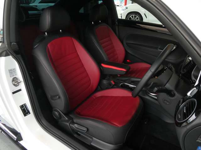 VolksWagen THE BEETLE 2019-06 184606-11