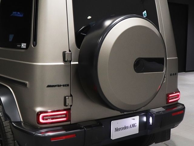 Amg G-CLASS 2021-09 12640-15