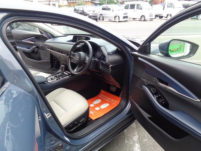 Mazda CX-30 2019-12 23189-10