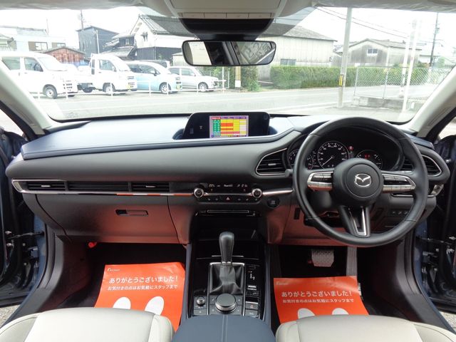 Mazda CX-30 2019-12 23189-12