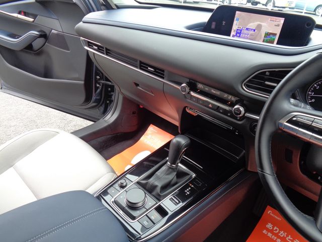 Mazda CX-30 2019-12 23189-1