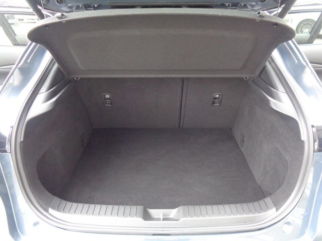Mazda CX-30 2019-12 23189-7