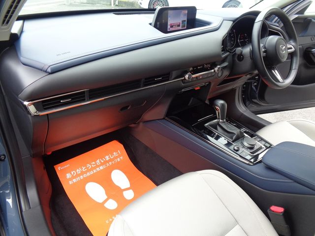 Mazda CX-30 2019-12 23189-15