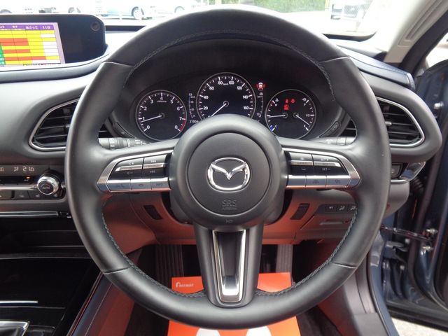 Mazda CX-30 2019-12 23189-13