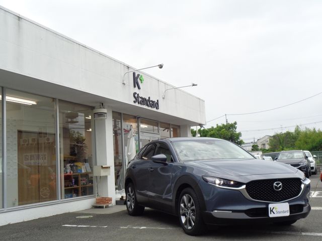 Mazda CX-30 2019-12 23189-4