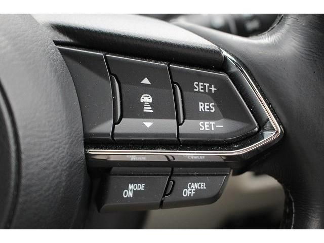 Mazda CX-8 2018-01 13822-6