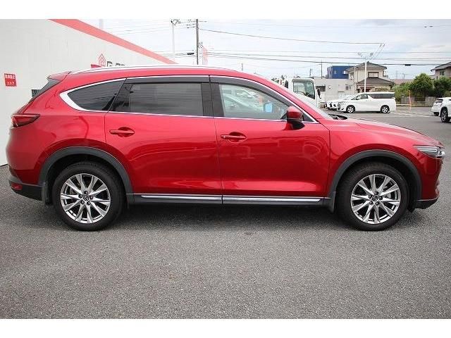 Mazda CX-8 2018-01 13822-10