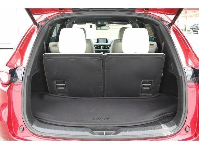 Mazda CX-8 2018-01 13822-17