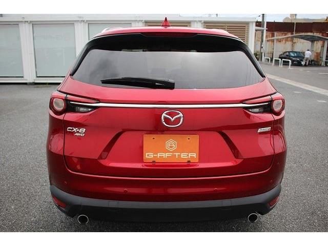 Mazda CX-8 2018-01 13822-9