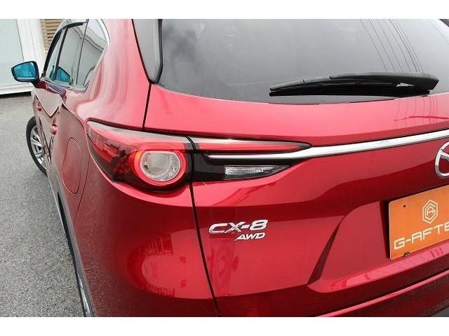 Mazda CX-8 2018-01 13822-13