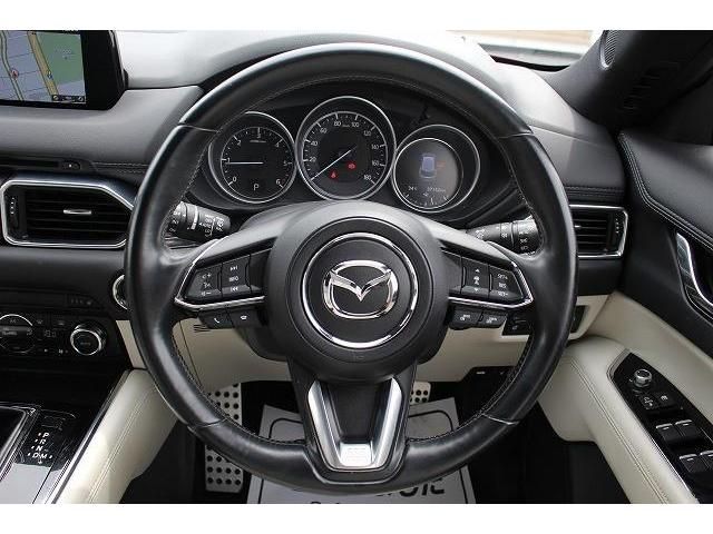 Mazda CX-8 2018-01 13822-16