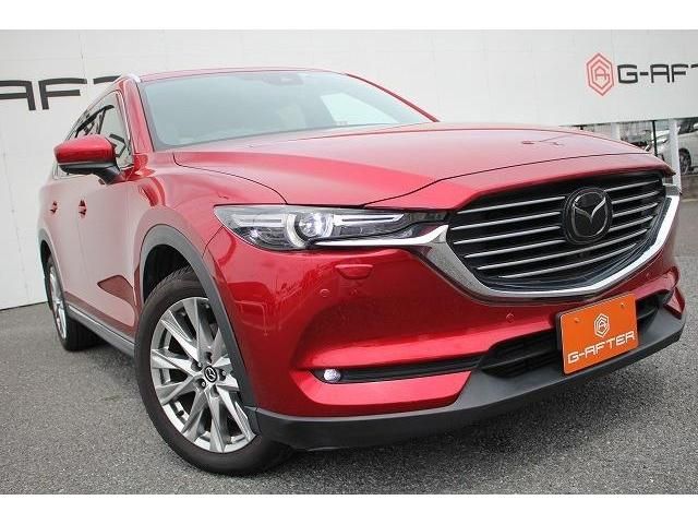 Mazda CX-8 2018-01 13822-12