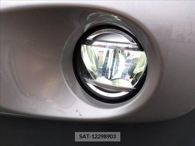 Suzuki X BEE 2021-12 290309-19